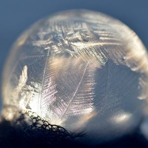 Meet your Posher, Paulina